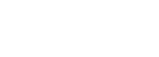 Logo INSS